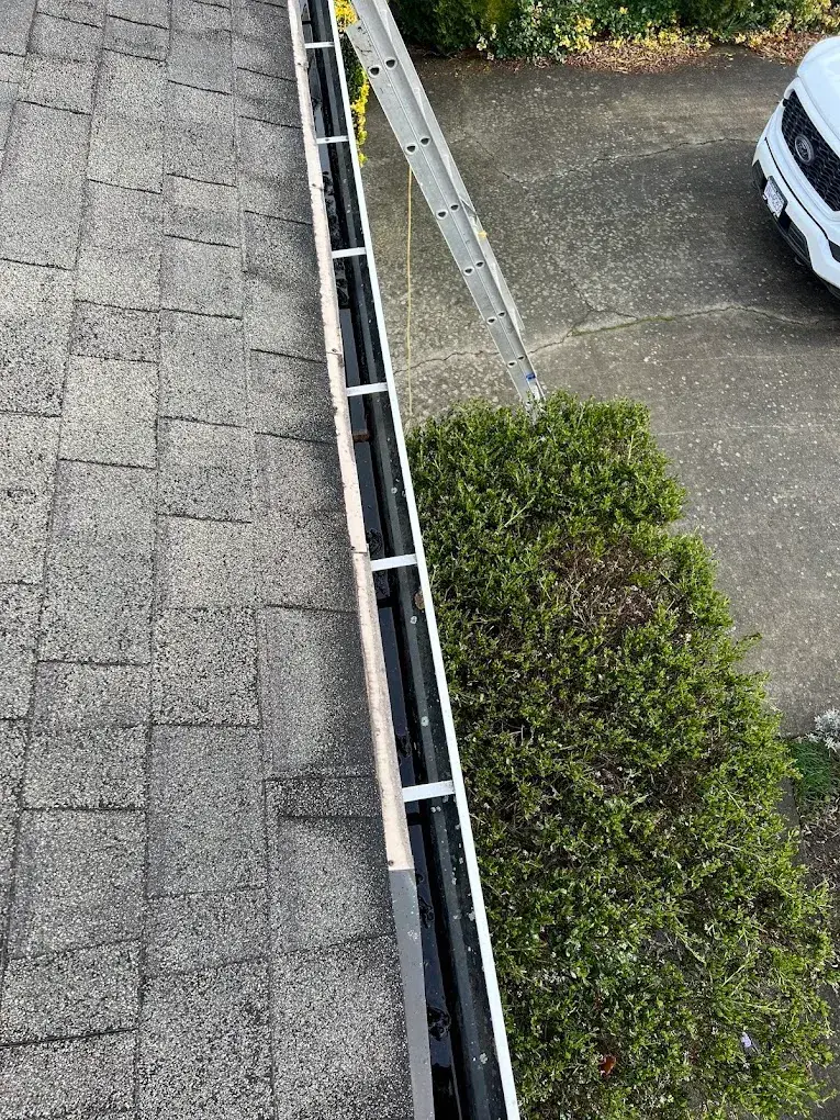 Looking along an empty gutter from the roof, ladder and driveway below
